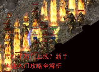 �������������ߣ����ֿ������Ź���ȫ����